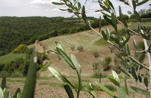 Casa Guaitoli - Foto 27