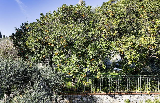 Seaview Apartment With Garden in Recco by Wonderful Italy - Photo 27