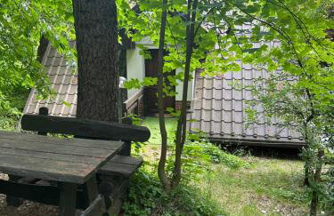 Studio Gościnne ANTEK - Foto 14