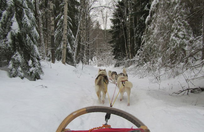 Knut's Camping och Lägenheter - Foto 14