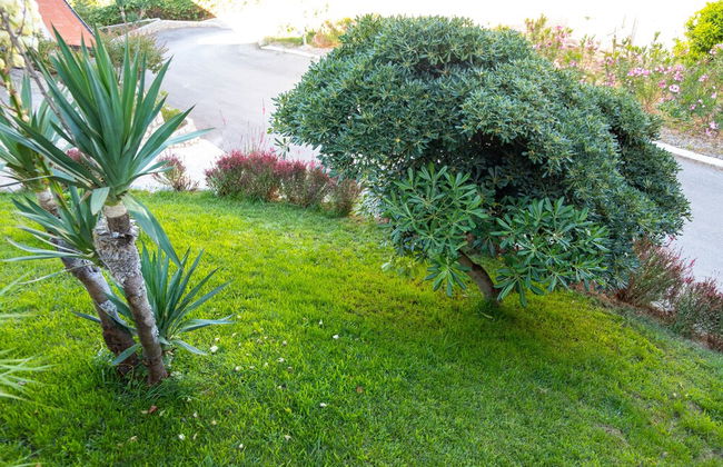 Bivalvia Apartments - Foto 60