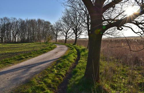 Fewo Möwe Dierhagen - Foto 28