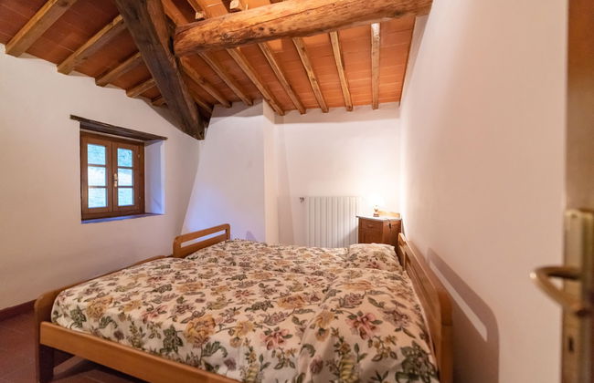 Fattoria di Cintoia - Photo 8