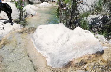 Casa rural El Majuelo - Foto 49