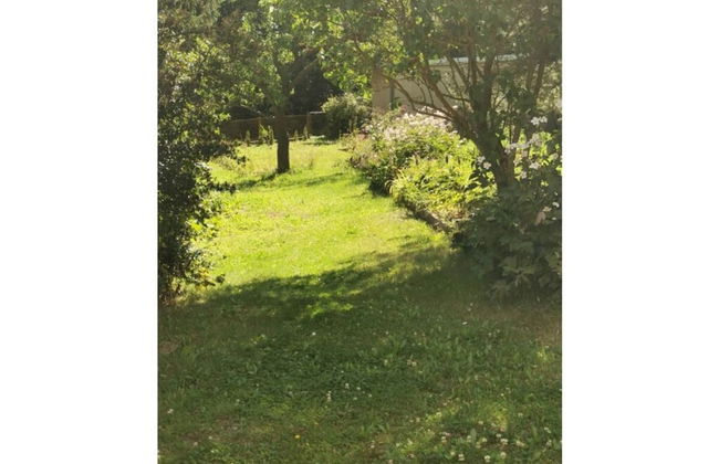 Haus Waldliebe Modern Retreat - Foto 16