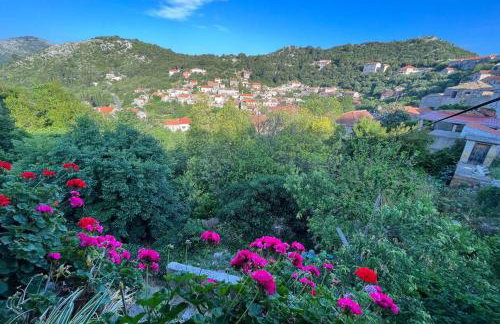 Studio Apartman Ana - Foto 1