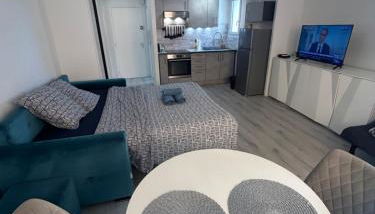 Grand Studio Lumineux et Fonctionnel 4 couchages Gare routière - Foto 2