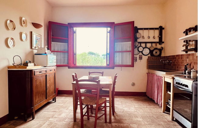 Fattoria Podere i Luoghi - Foto 40