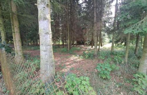 Villa Kasztanowa - Foto 47