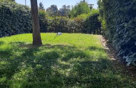 Location appartement les pieds dans l'eau, Résidence Aqua Linda à Poggio-Mezzana - Foto 31