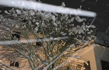 # 97 - die Ferienwohnung am Sachsenring - Foto 35