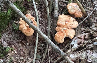 A cjase di Luca - Photo 23