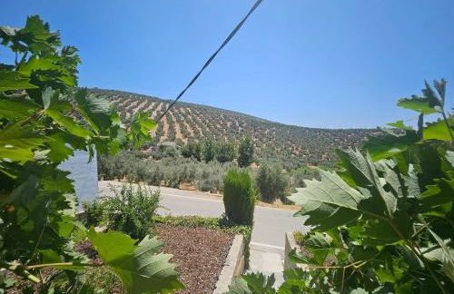 Charming House with Jacuzzi in Villanueva de Algaidas - Foto 38