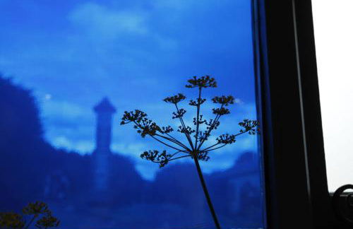 Rod and Line - Photo 52