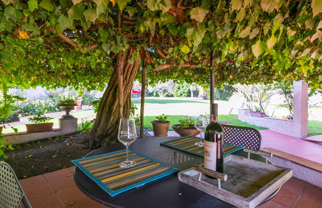 Bardeggiano - Caterina 5 - Foto 25