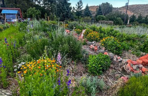 Serene Studio Near Wineries, Oak Creek and Sedona - Foto 31