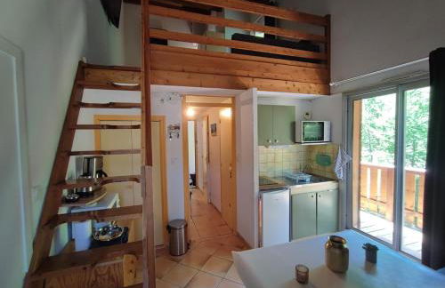 Duplex 6 personne au pied des pistes - Foto 18