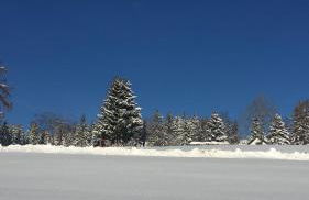 Ferienwohnung Marie - Foto 6