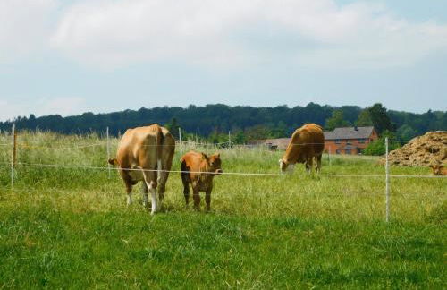Ferienwohnungen Landleben - Foto 14