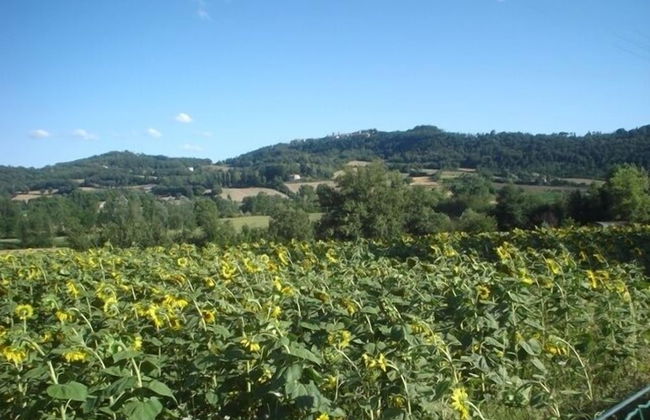 Agriturismo Podere Casenove - Photo 57