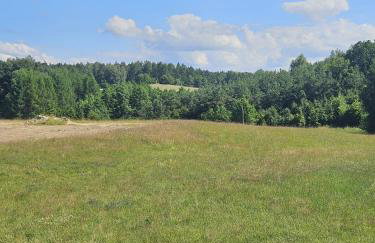 Domek Dotyk rosy na Kaszubach - Foto 10