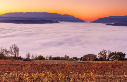 Lo passeig - Foto 67