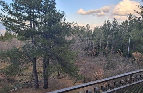 casa la volpe - Photo 22