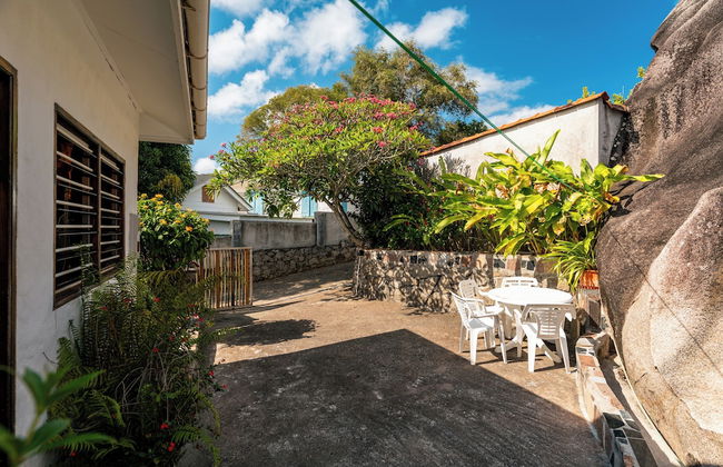 Beau Bamboo - Foto 78