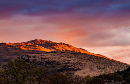 An Outdoor Enthusiasts Piece of Heaven - Photo 38