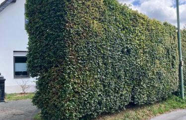 Ferienwohnung zum Belgenbachtal - Foto 11