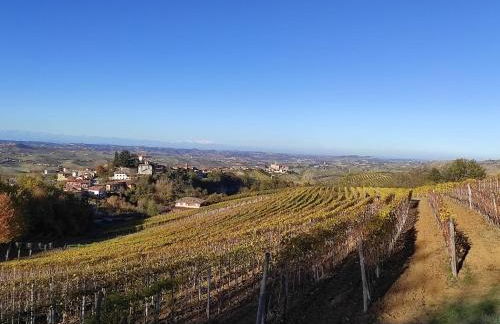 Agriturismo Bianconiglio - Foto 55