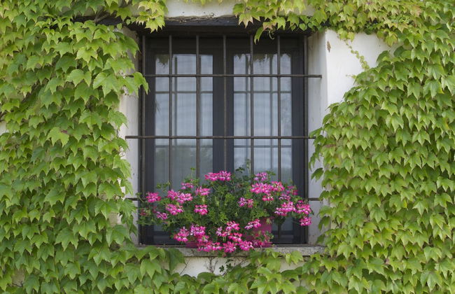 Masseria La Torre - Foto 54