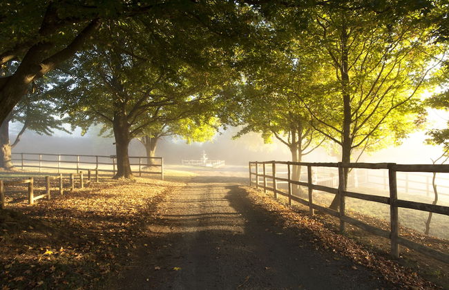 Whispering Waters - Foto 1