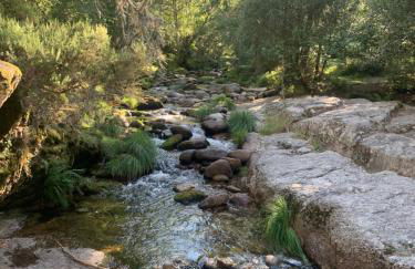 La Casa de la Plaza - Foto 13