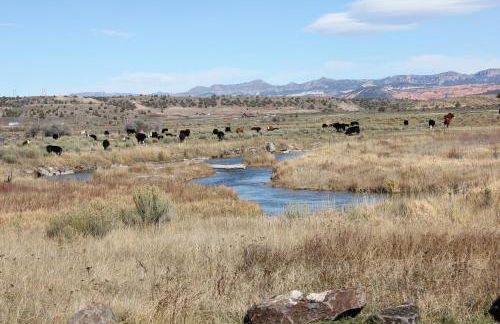 Sevier River Retreat - Foto 26