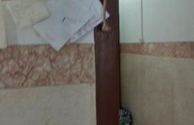 António Augusto Apartment - Foto 14