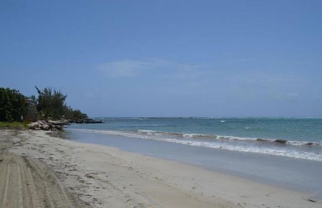 Ocho Rios Villa at the Palms II - Photo 35