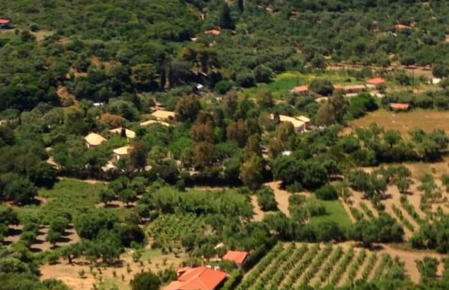 The Olive Grove Tsapi - Foto 18