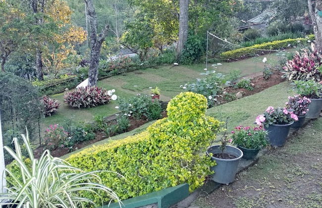 Windsor Forest Bungalow - Photo 27