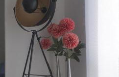 Appartementhaus kleines Glück &MeineCardPLUS - Foto 10