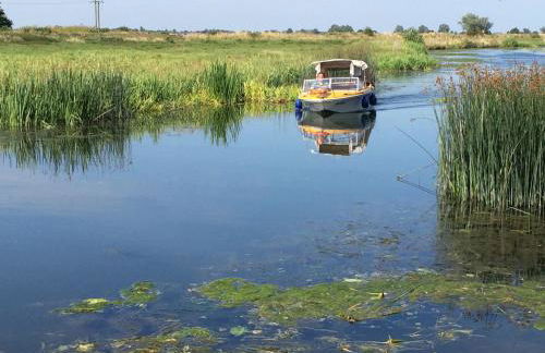 Willow Cottage at Gravel Farm - Photo 33