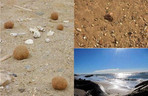 Le casette di Frà al Bondì - Foto 76