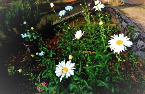 Zgora mora-above the sea-peacefull,family frendly - Foto 46