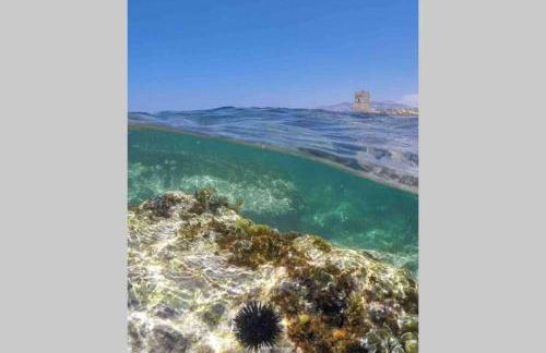 Villa dell’Orsa - Foto 47