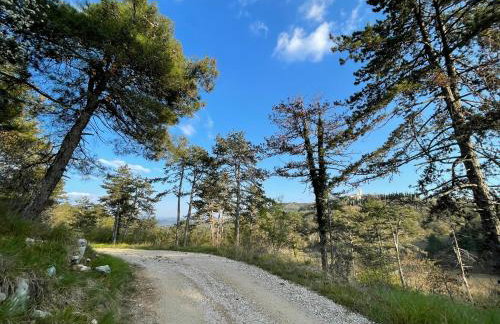 Santa Lucia App - Foto 30