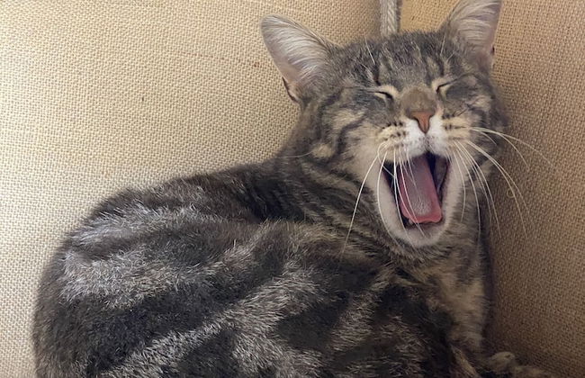 Relais Sant'Elena - Foto 68