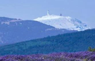 Les Dentelles du Ventoux - Gîte avec Piscine - Photo 21