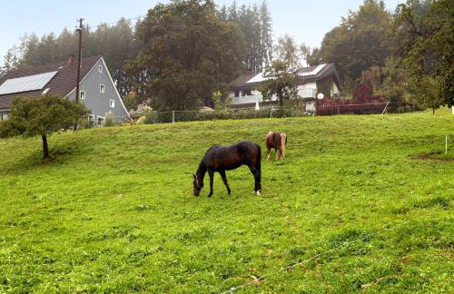 Gästehaus Kornspeicher Untere Mühle - Foto 25