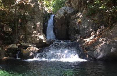 Teles House - Foto 3