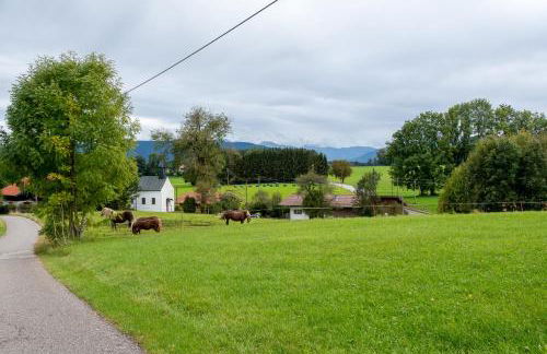 Schmidtler`s Nest - Foto 24